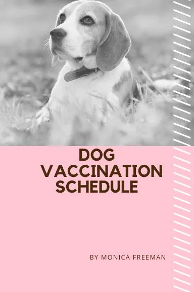 Dog Vaccination Schedule