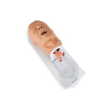 Economy Adult Airway Management Trainer