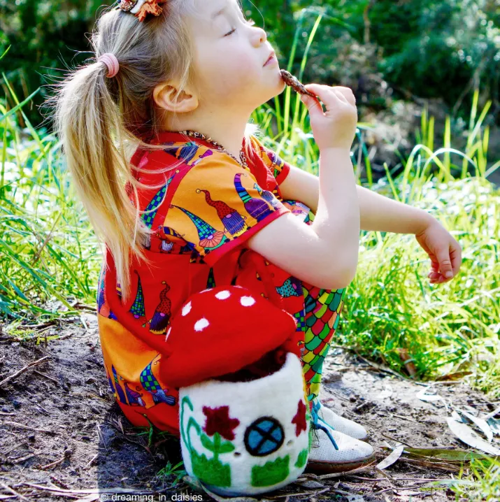 Felt Mushroom Toadstool Bag