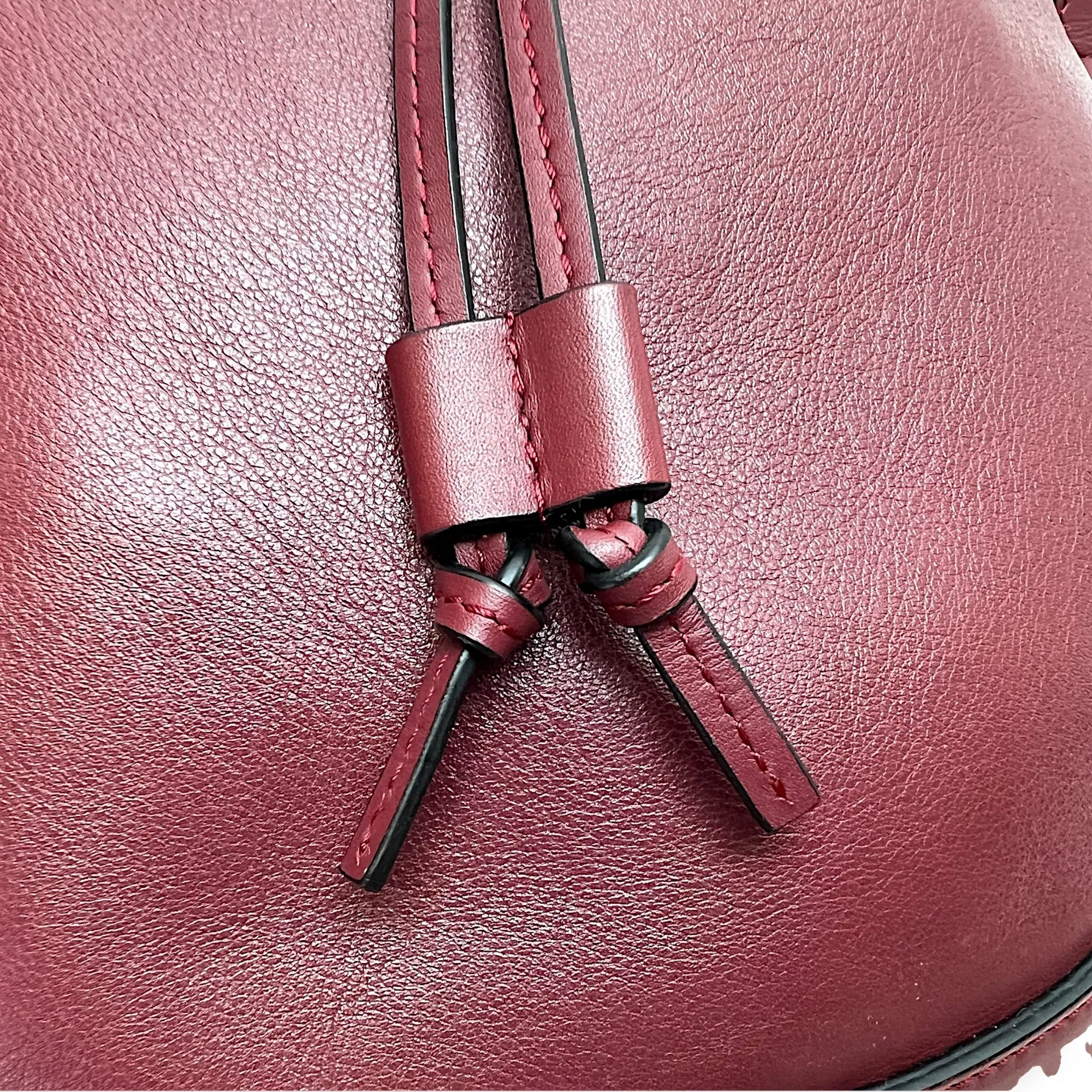 Horseshoe Crossbody Bag  Maroon in Calfskin , Gold Hardware