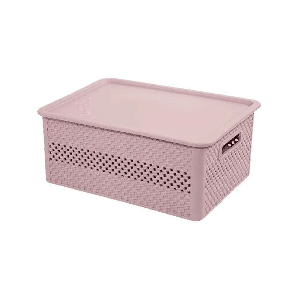 LIMON ORGANIZER BOX 28.5L 19W 13H