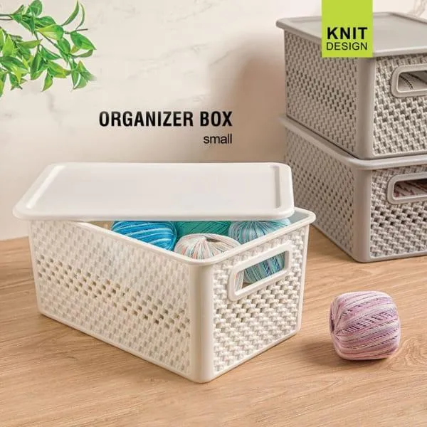 LIMON ORGANIZER BOX 28.5L 19W 13H