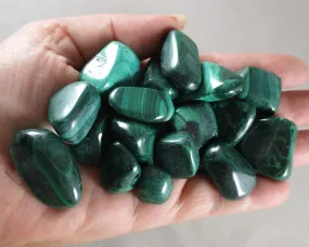 Malachite Polished Stone (Small) 1pc J020**