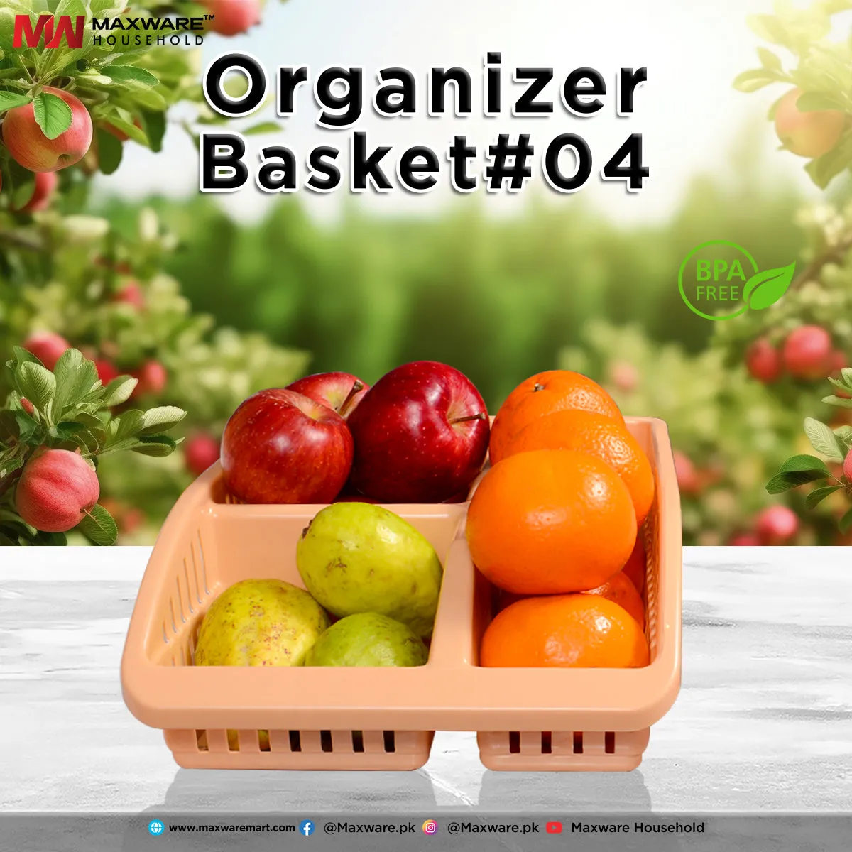 Organizer Basket 4