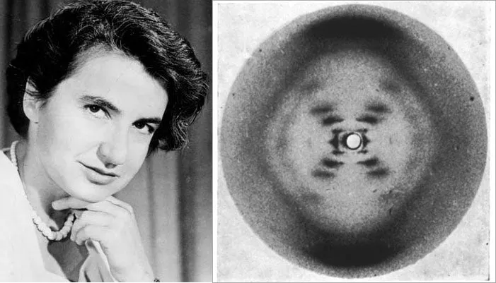 Rosalind Franklin Dress