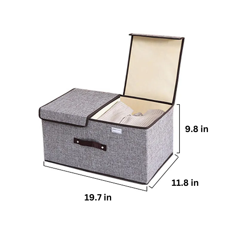 Storage Box with Double Flip Lid & Handles (19.7*11.8*9.8 in)