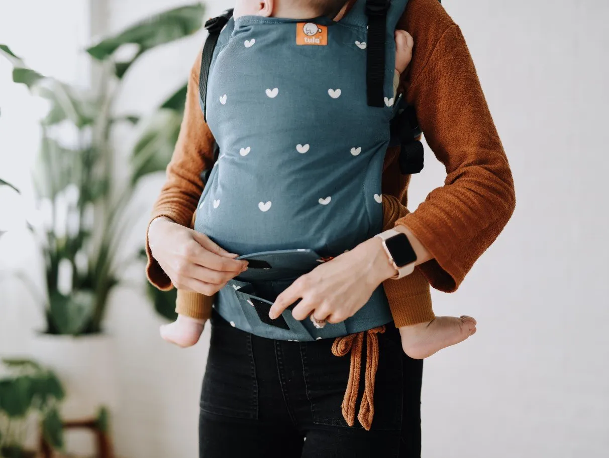 Tula Explore Baby Carrier - Play Date