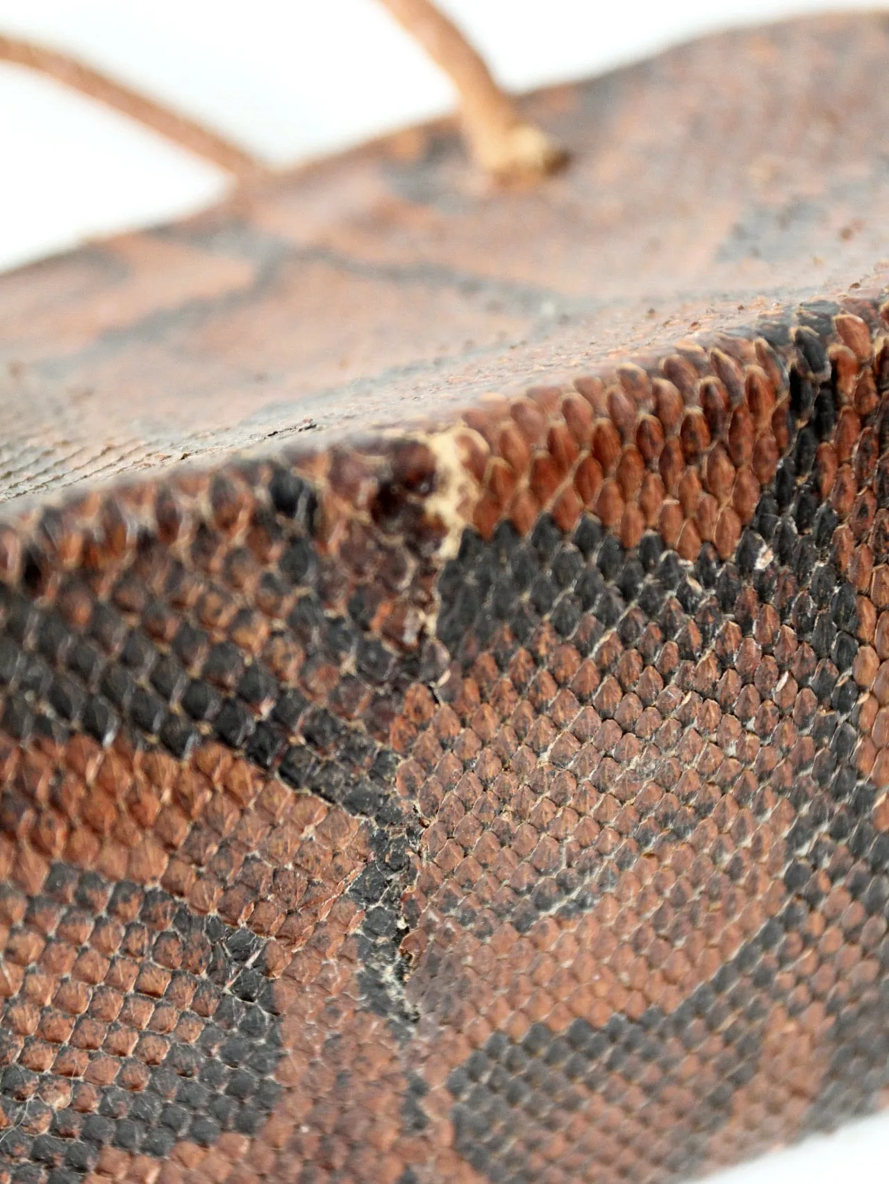 vintage snakeskin satchel